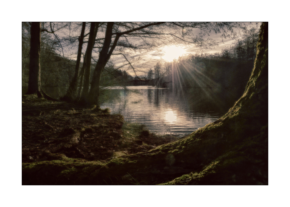 Am Waldweiher