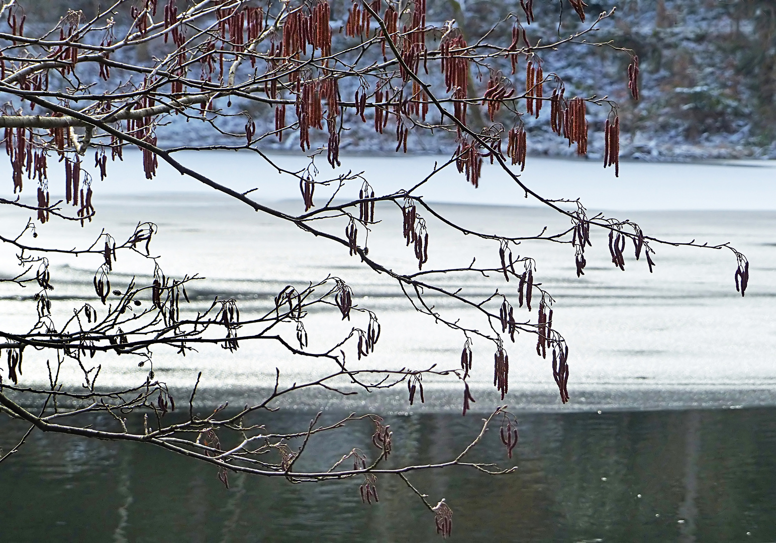 Am Waldweiher