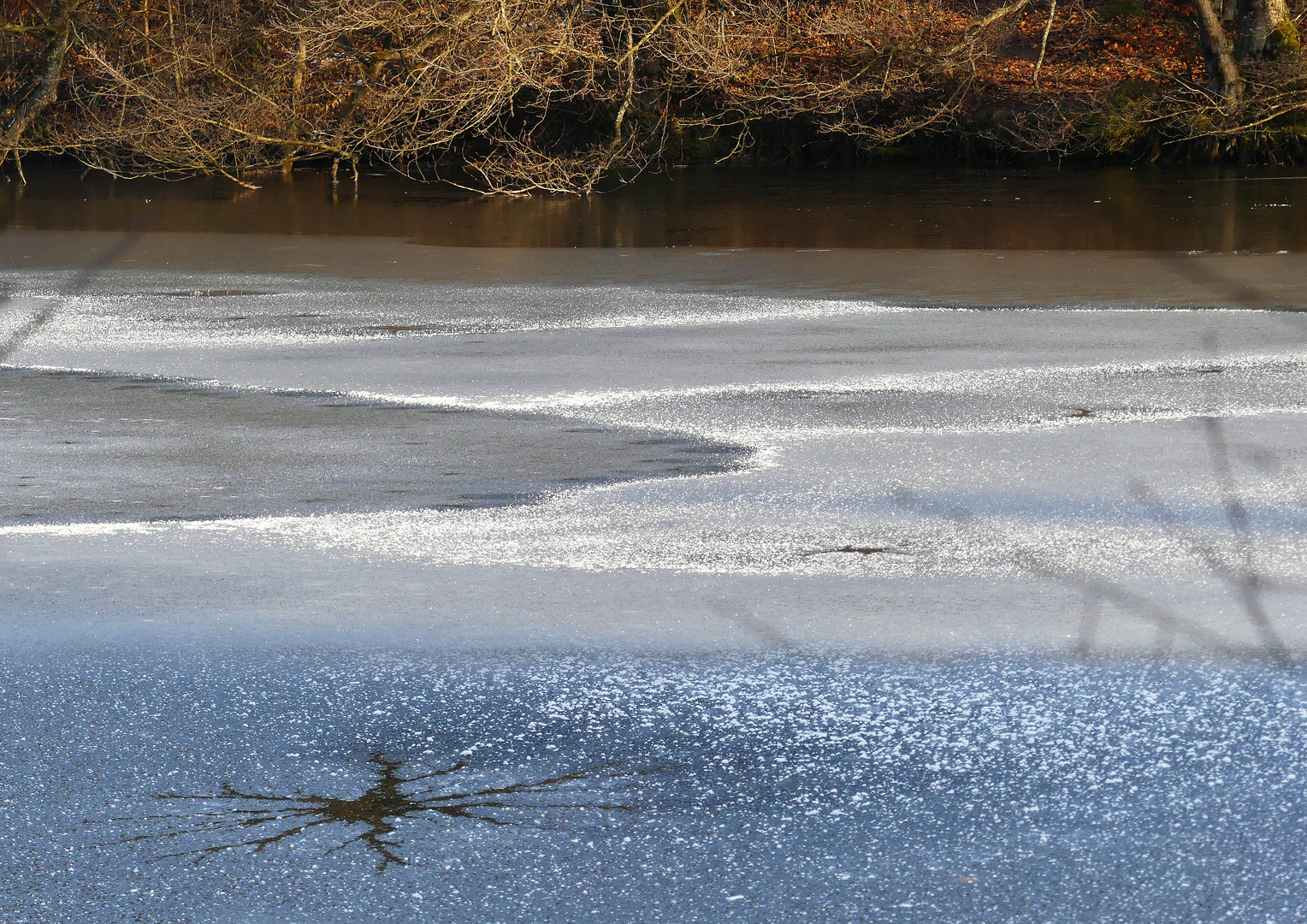 Am Waldweiher