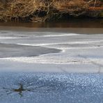 Am Waldweiher