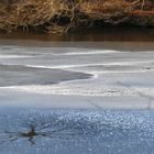 Am Waldweiher