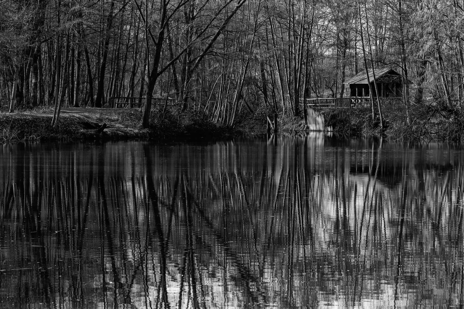 Am Waldweiher