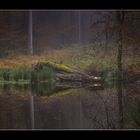 Am Waldweiher im Herbst