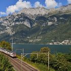 Am Walensee IV