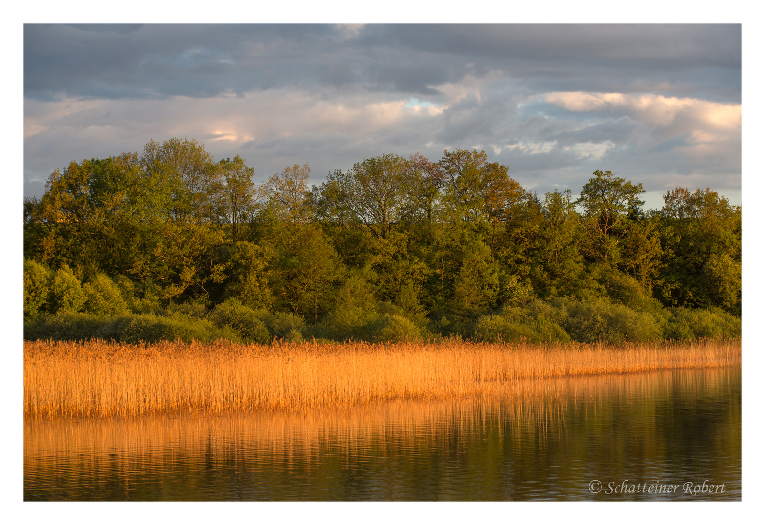 am Wallersee