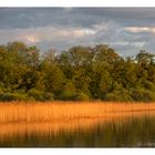 am Wallersee