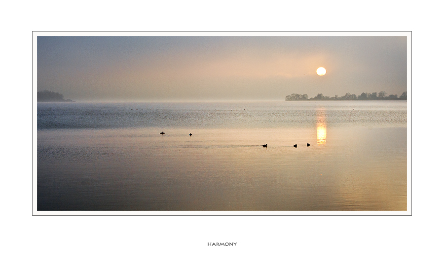 . . . am Wallersee IX