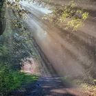 Am Wambachsee Duisburg zum Herbstanfang