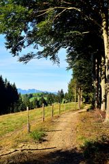 Am Wanderweg 06 (Mariazellerweg)