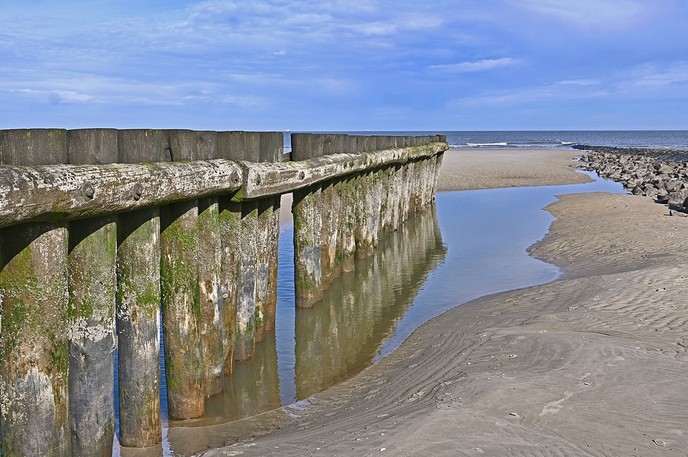 *Am Wangerooger Strand*