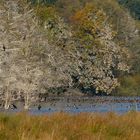 Am Warnker See 2