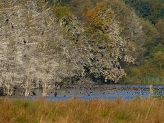 Am Warnker See 2