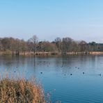 Am Warnker See