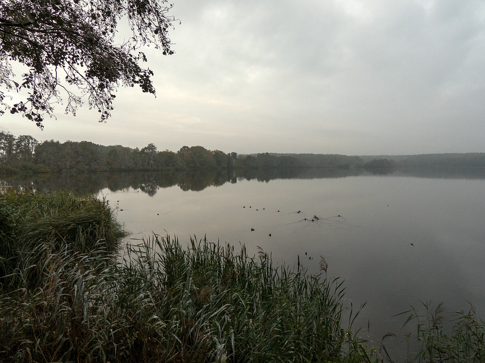 Am Warnker See