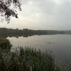 Am Warnker See