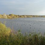 Am Warnker See - Ganz schön viel los