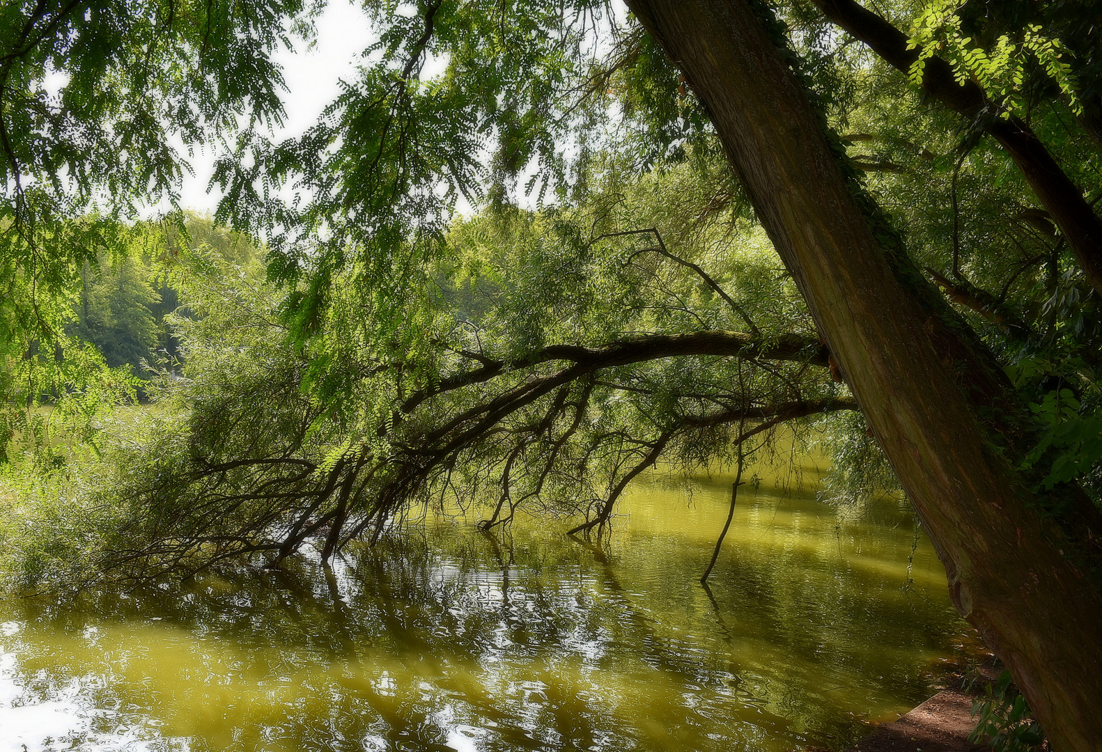 Am Wasser