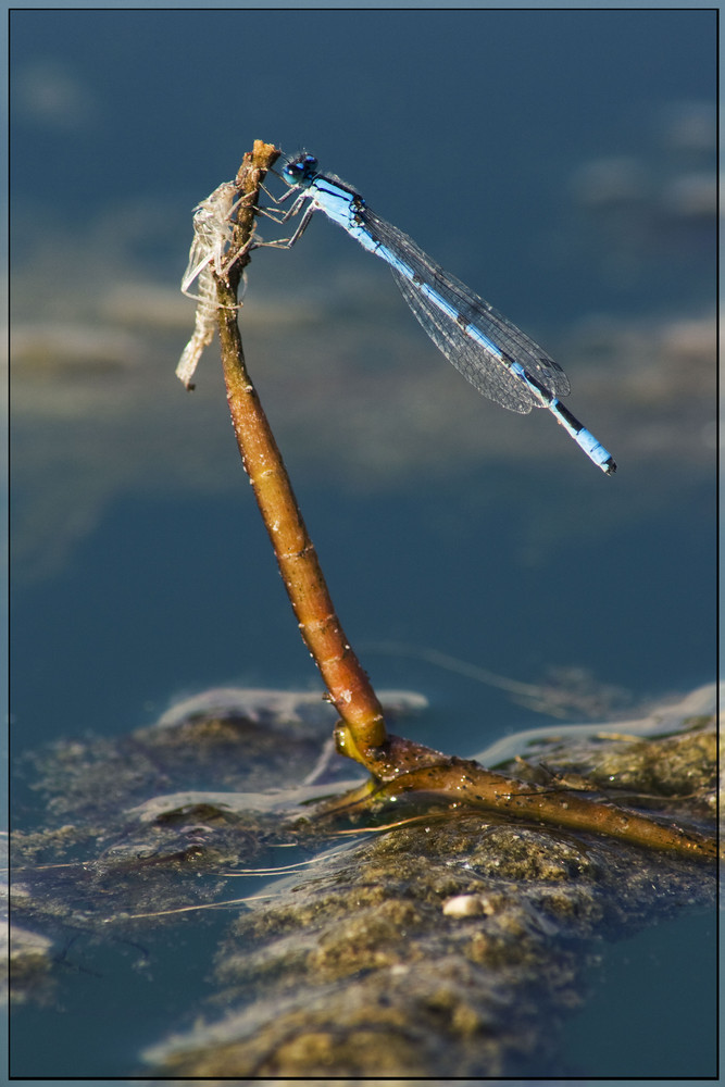 am Wasser