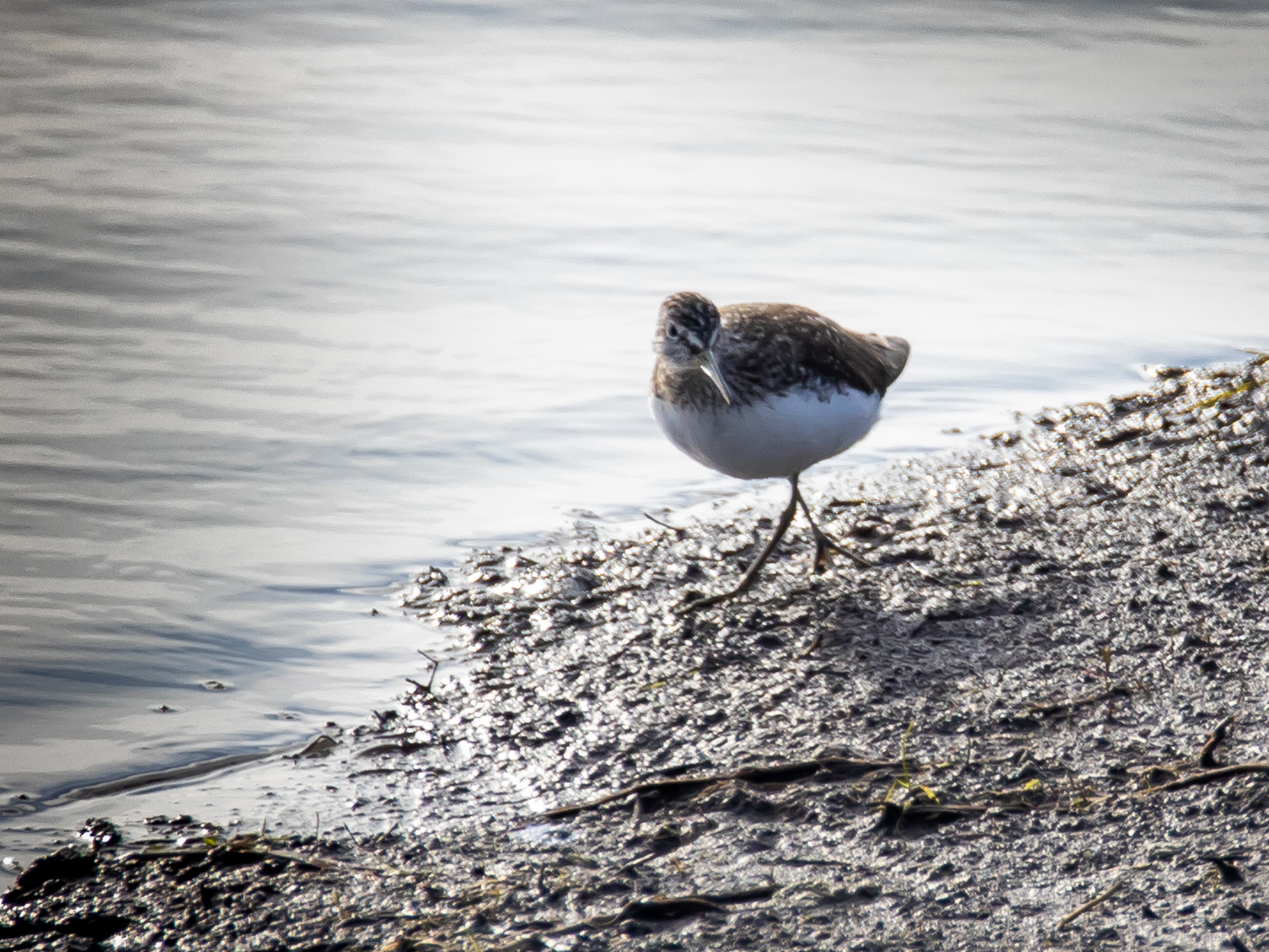 Am Wasser