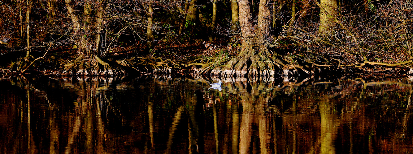 Am Wasser