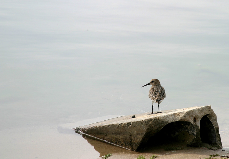 Am Wasser ...