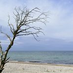 am Wasser