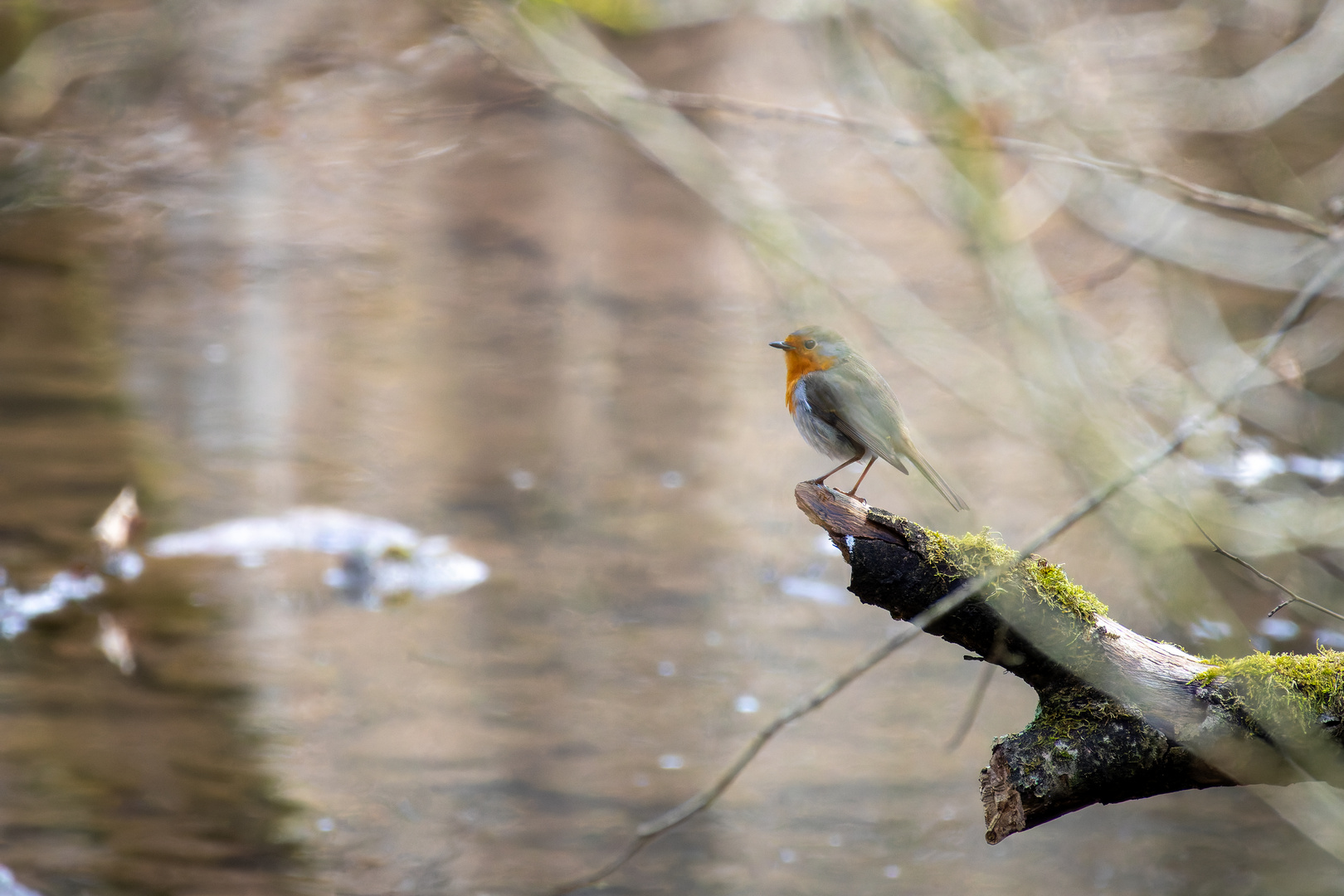 Am Wasser