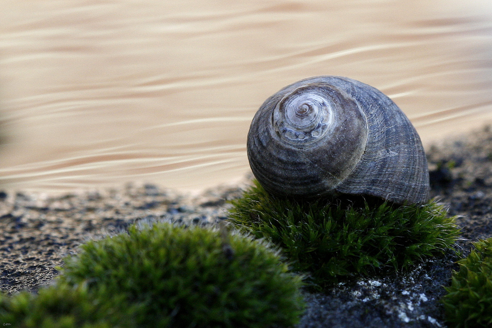 am Wasser