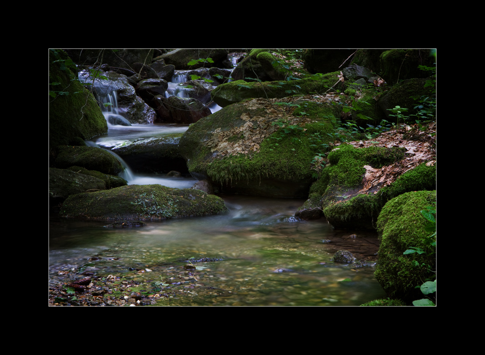 Am Wasser