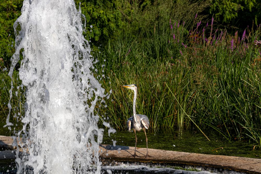 Am Wasser auf der Liebesinsel