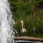 Am Wasser auf der Liebesinsel