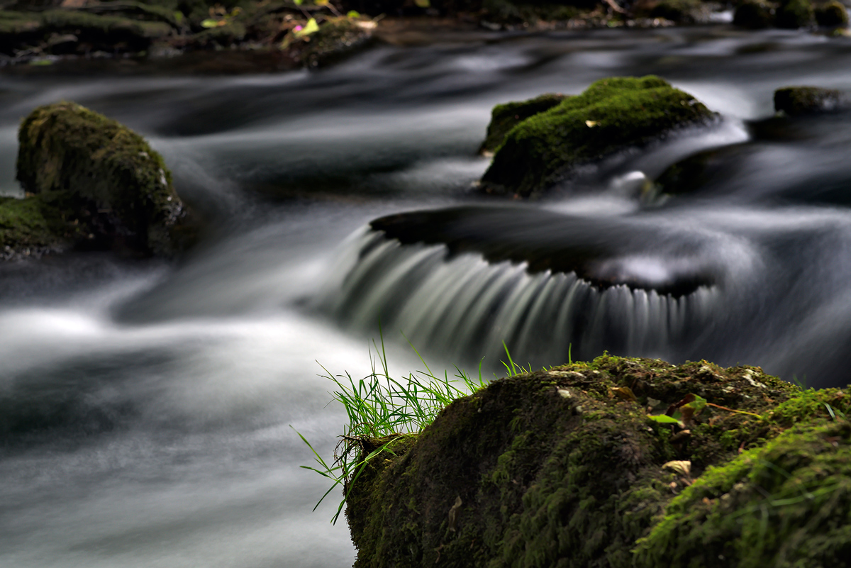 am Wasser