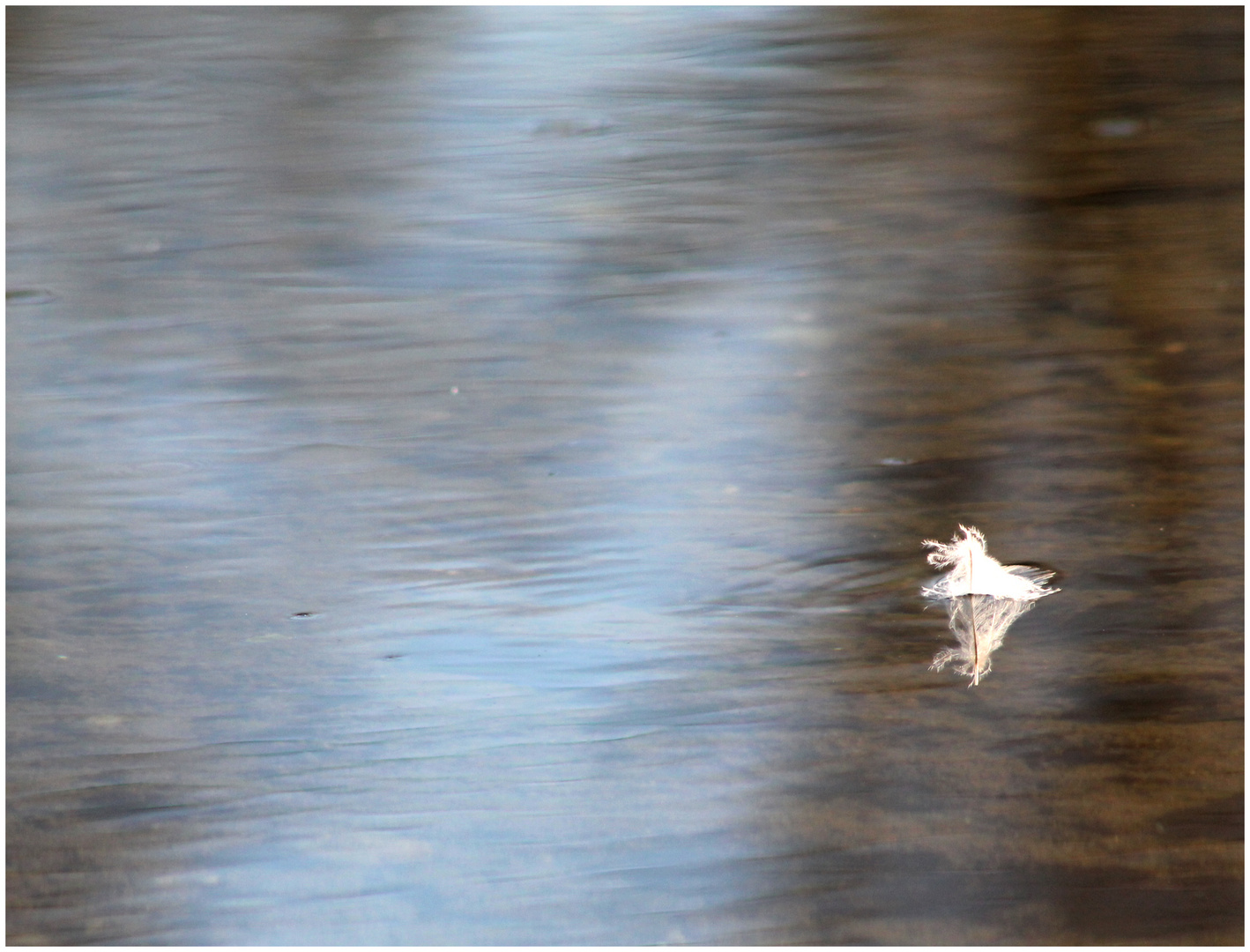 am Wasser