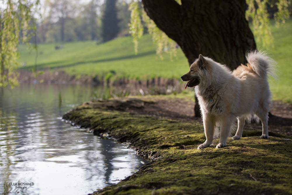 ...am Wasser...