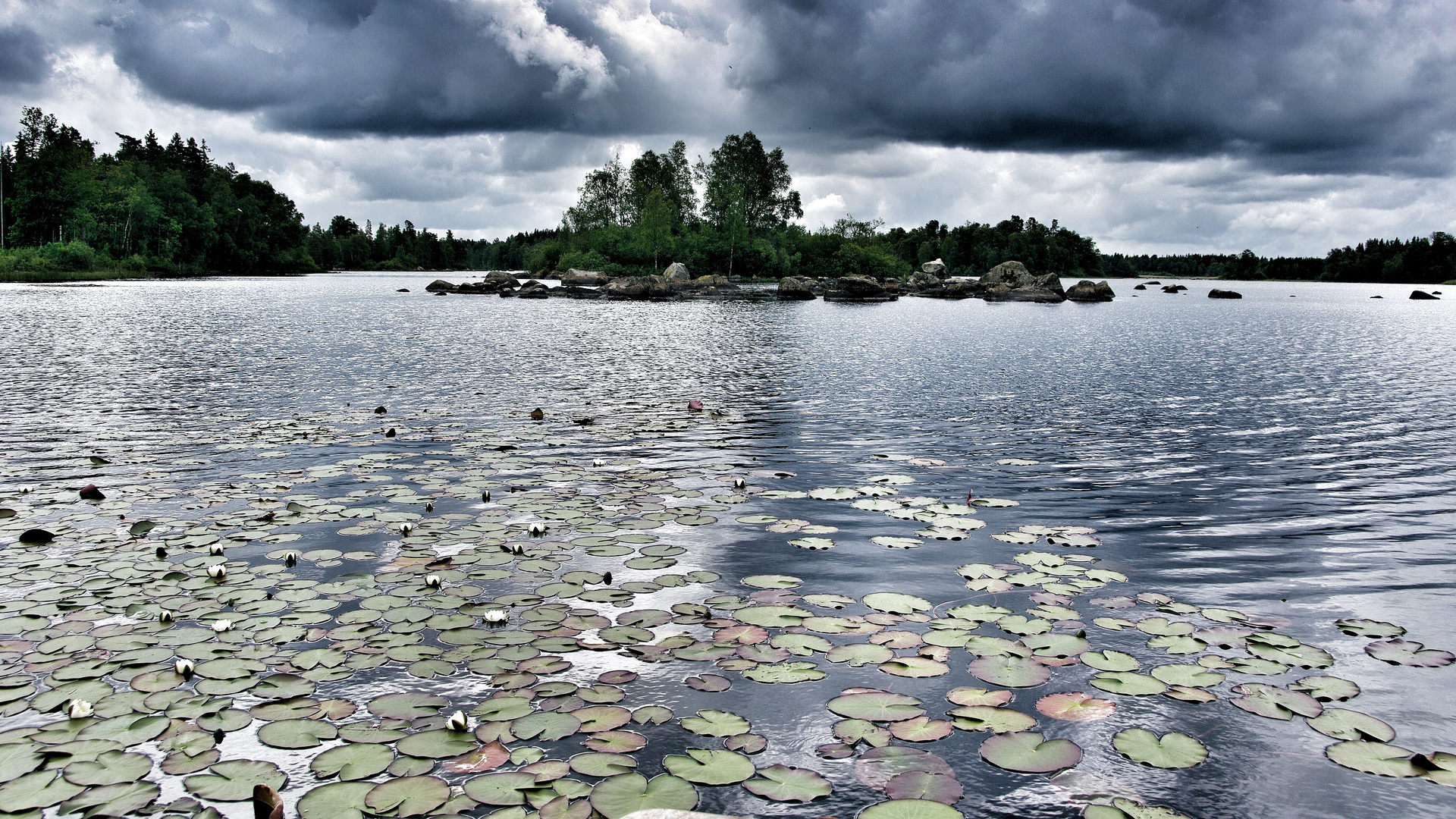 Am Wasser…