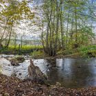 Am Wasser im Herbst 