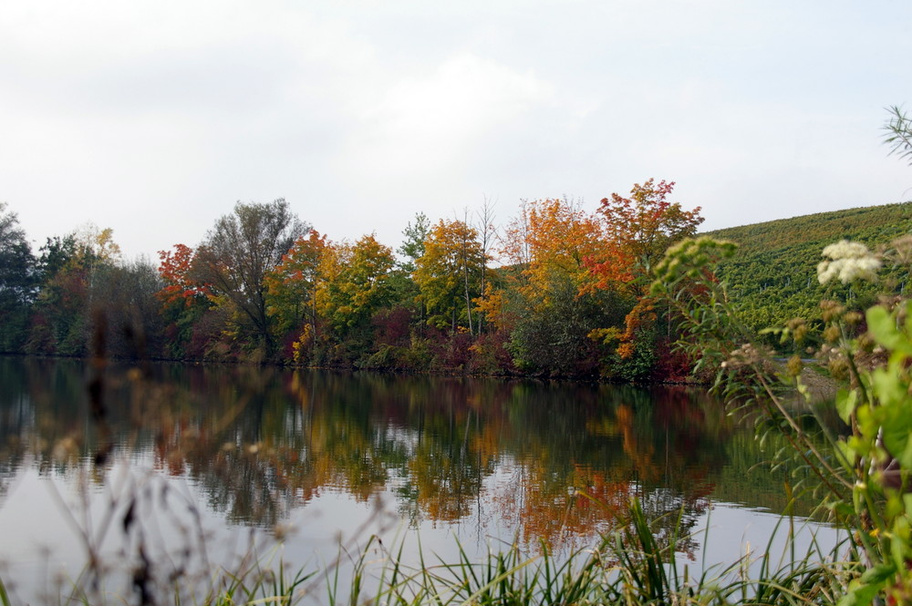 Am Wasser im Herbst