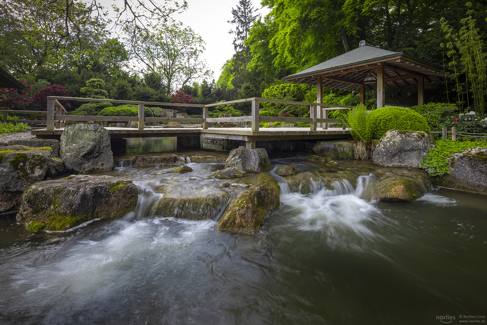 Am Wasser im Japanischen Garten