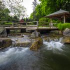 Am Wasser im Japanischen Garten