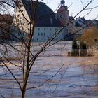 am Wasser - im Wasser - Regensburg