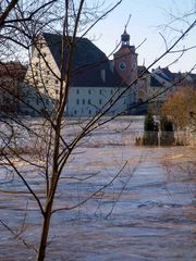 am Wasser - im Wasser - Regensburg