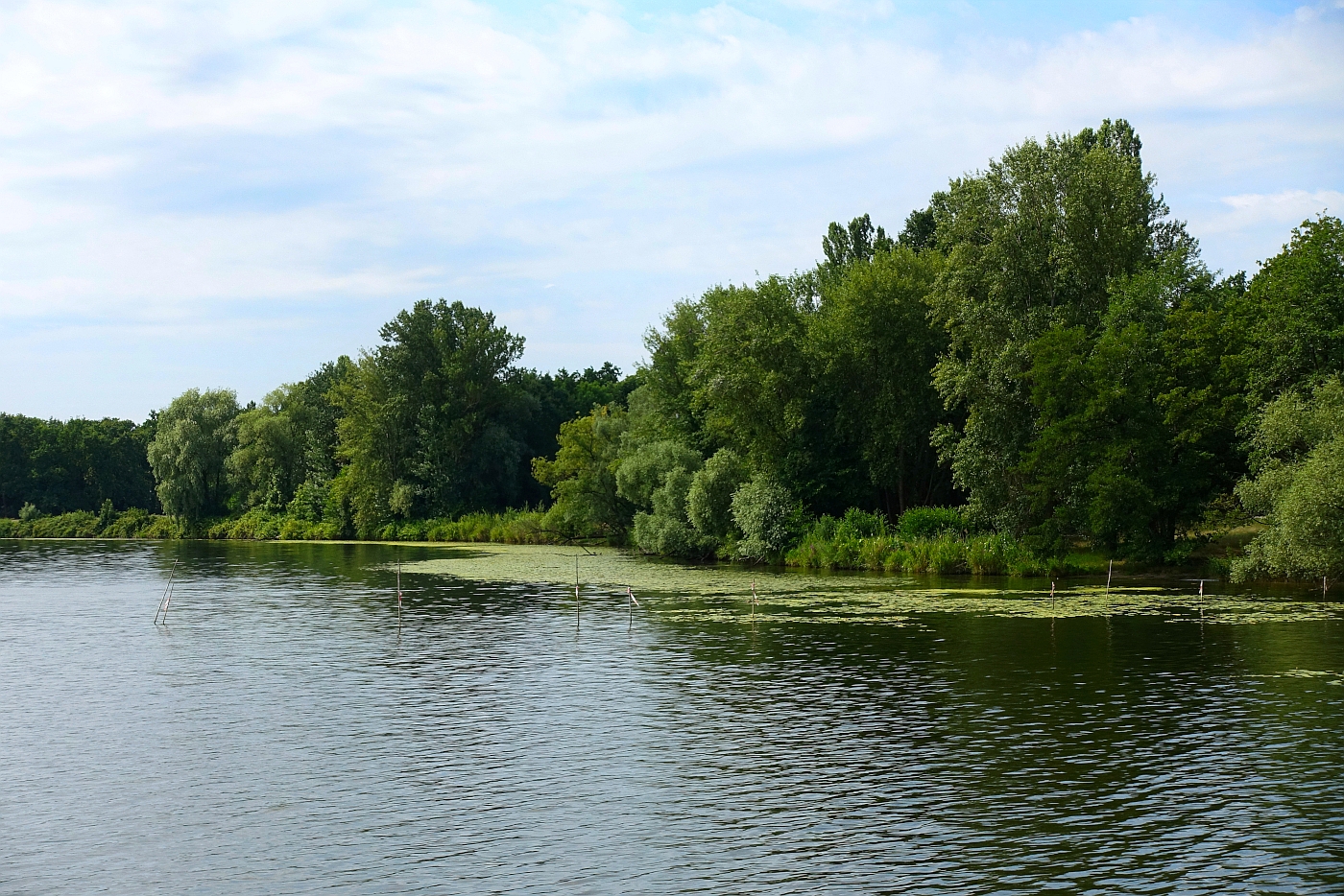 Am Wasser in Potsdam