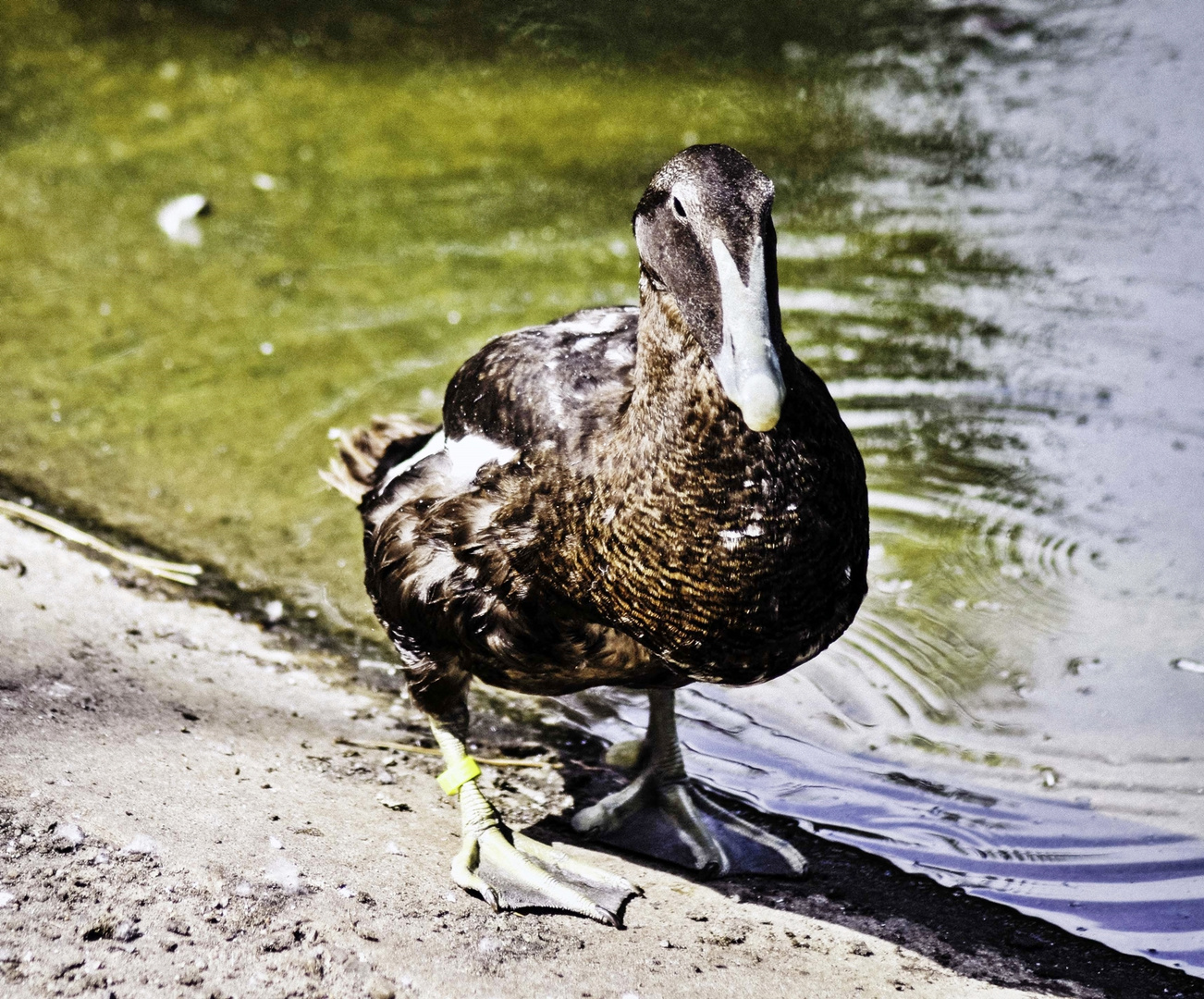 Am Wasser ist es am schönsten