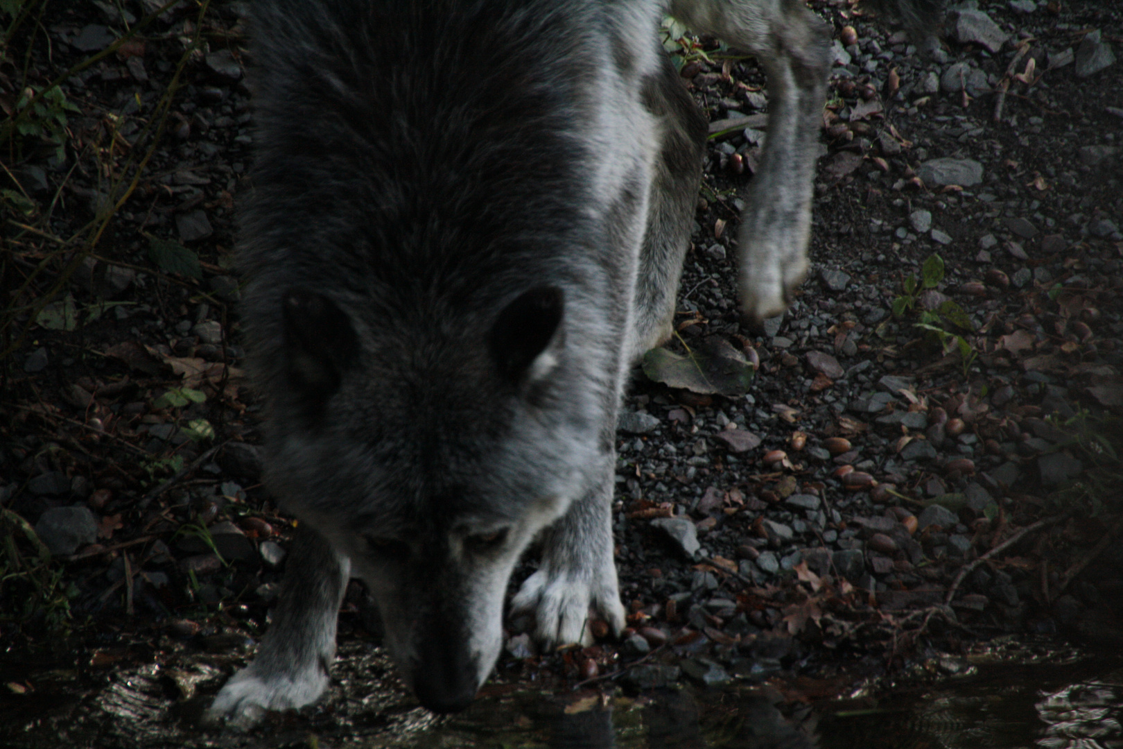 Am Wasser sind alle gleich....