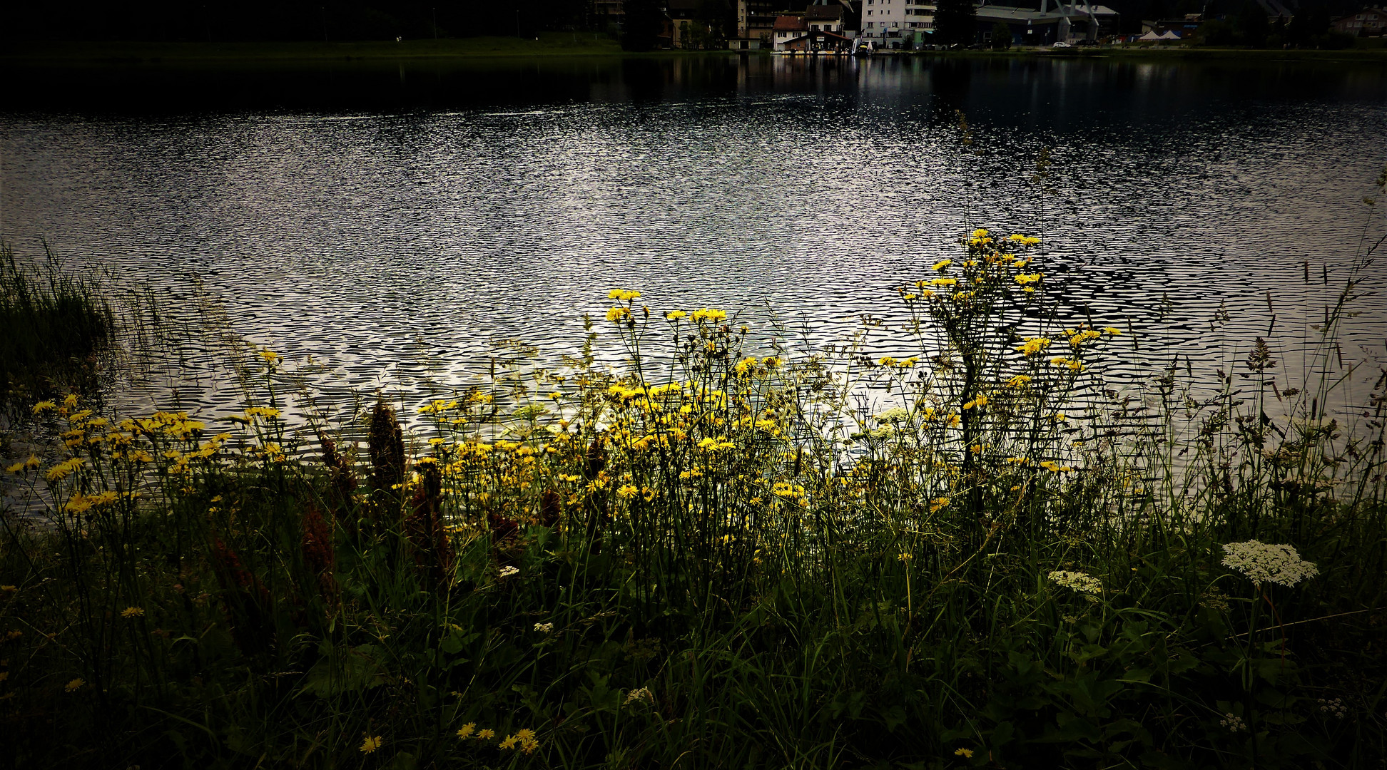 Am Wasser vor dem Regen Foto & Bild landschaft, bach, fluss & see