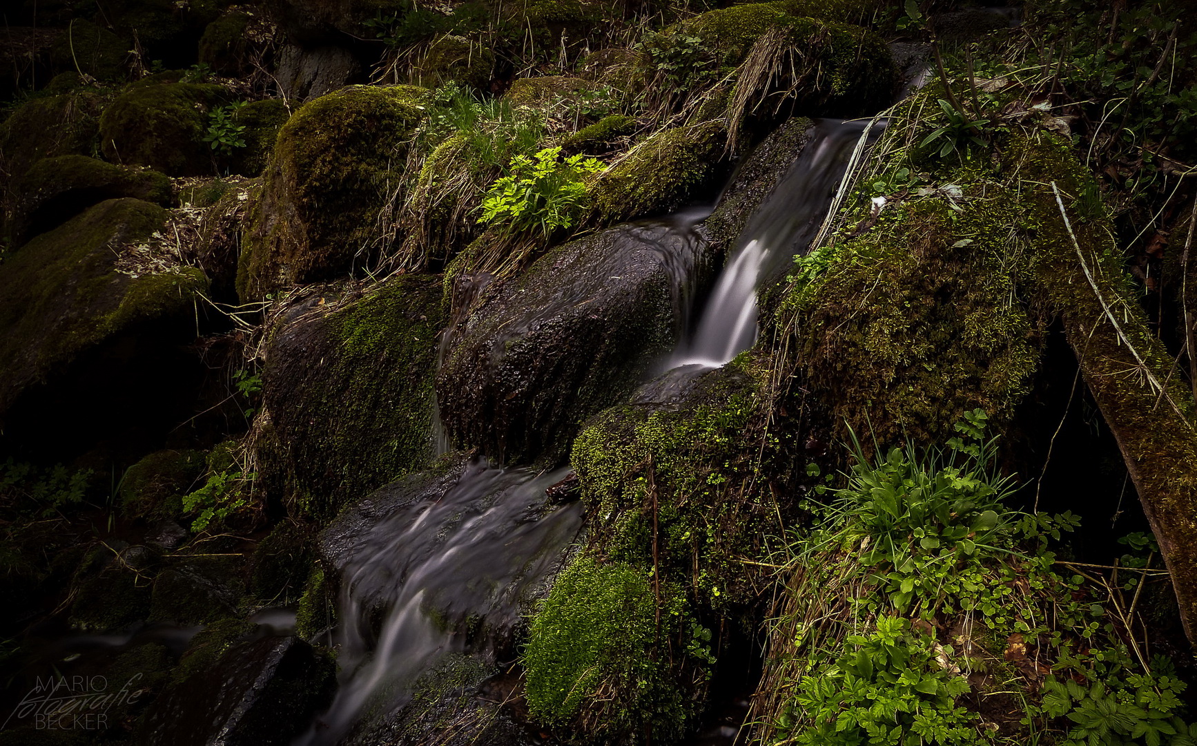 Am Wasserfall