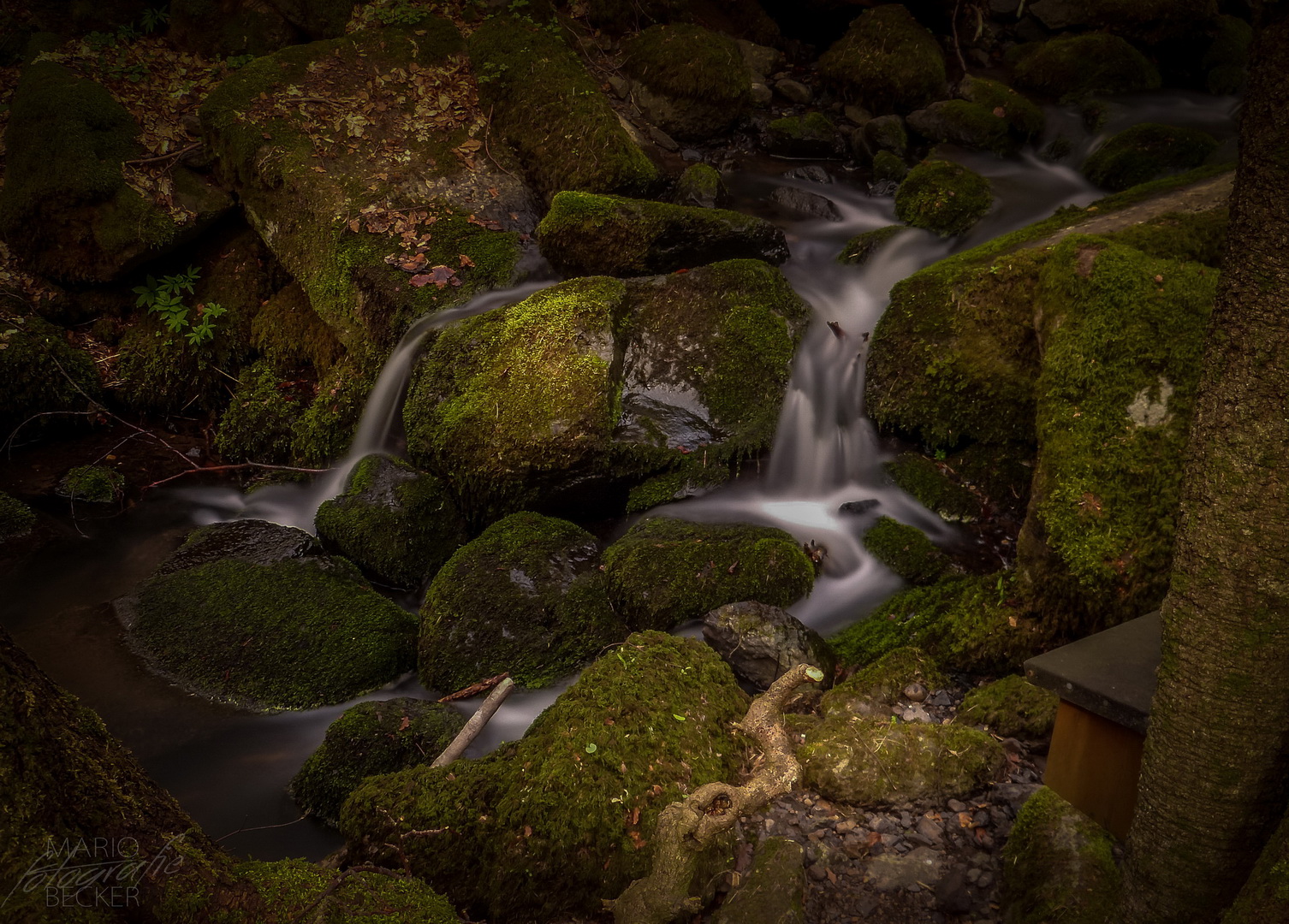 Am Wasserfall