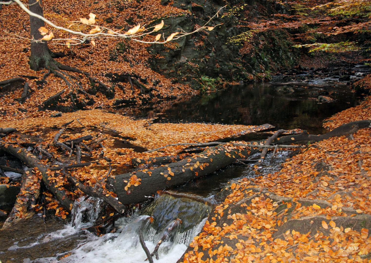 Am Wasserfall