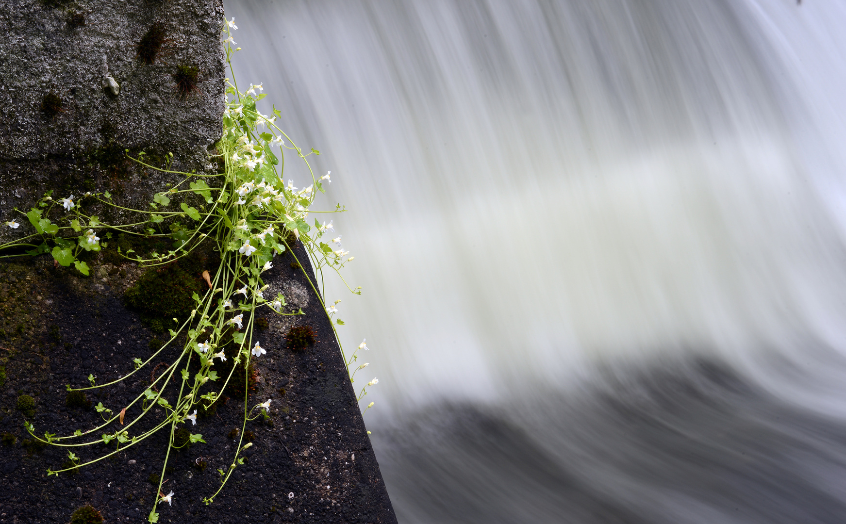 Am Wasserfall