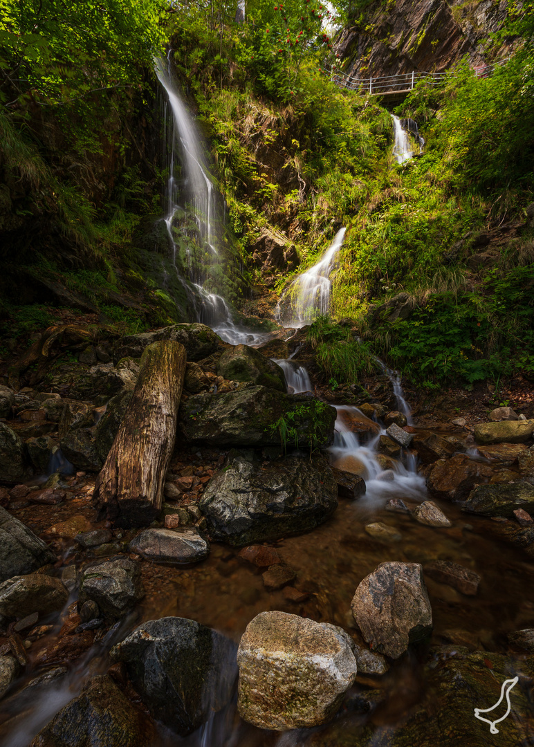 Am Wasserfall...